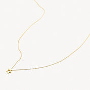 Blush Gold | 14K Open Star Necklace