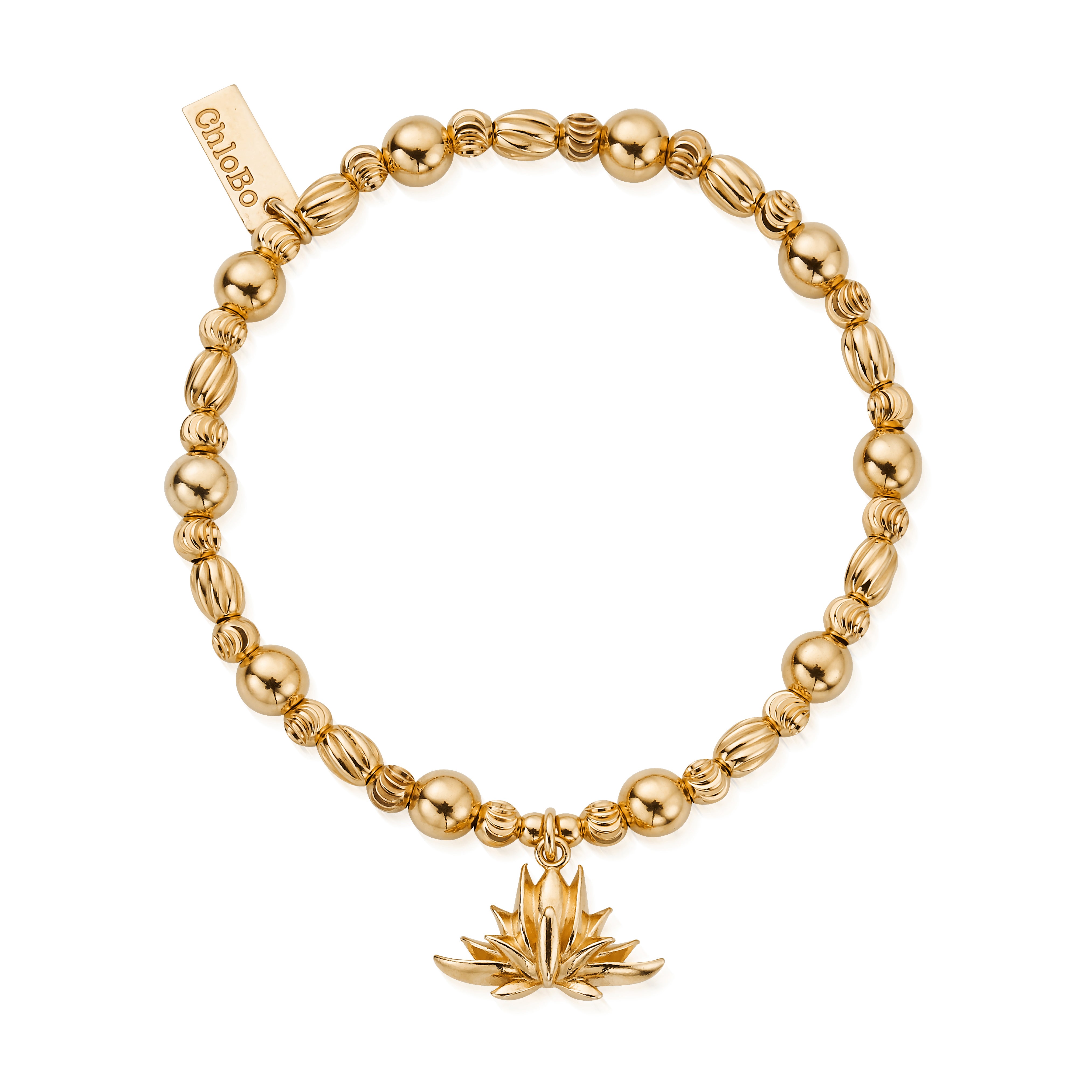 ChloBo |  Gold Hidden Beauty Bracelet