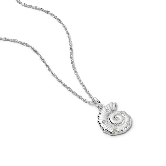 Daisy London | Pearl & Shell Pendant Necklace